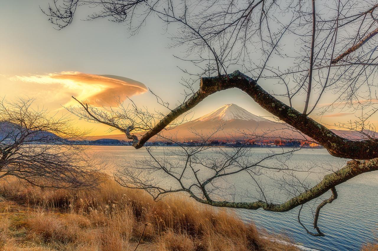 Yamabiko Lake Saiko فوجيكاواجوتشيكو المظهر الخارجي الصورة